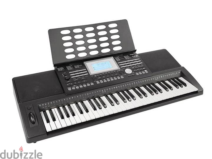 Medeli A810 arranger keyboard, 61 touch sensitive keys, 2 x 40 watt 1