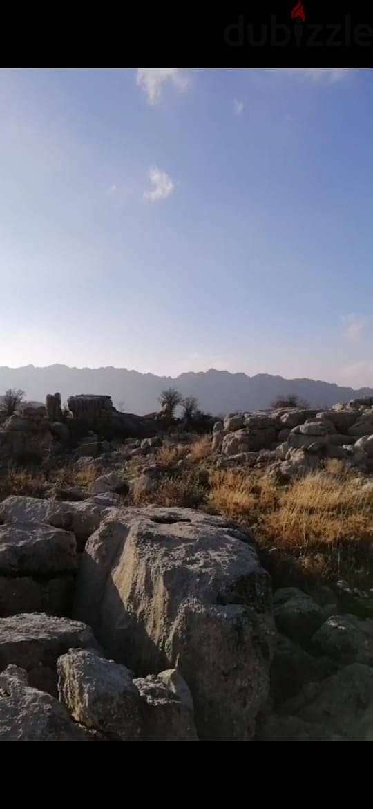 Land for sale in Laklouk - أرض للبيع في اللقلوق 1