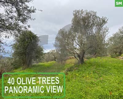 very calm area,embrace the nature in aley-abey/عبيه REF#SM118719