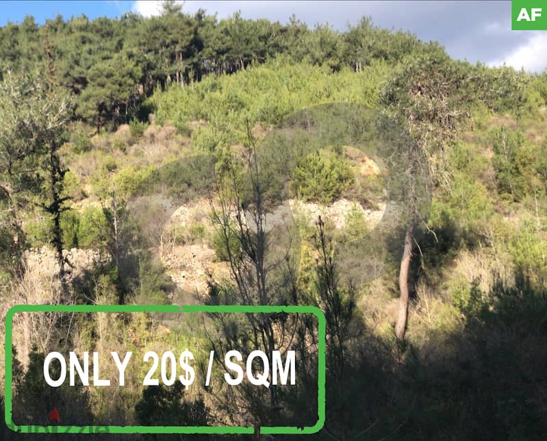 Agricultural land | Anout / Chouf   عانوت / الشوف REF#DY118734 0