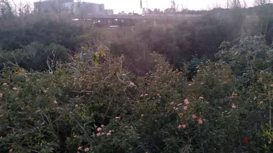 land for sale in antelias أرض للبيع في انطلياس