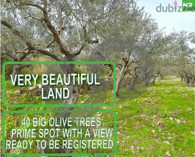 Prime Land for Sale With View ,Chabtin, Batroun ! REF#NR118723 !