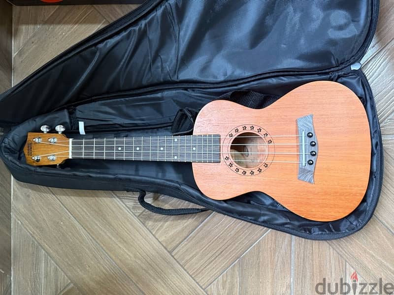 electric ukulele 1