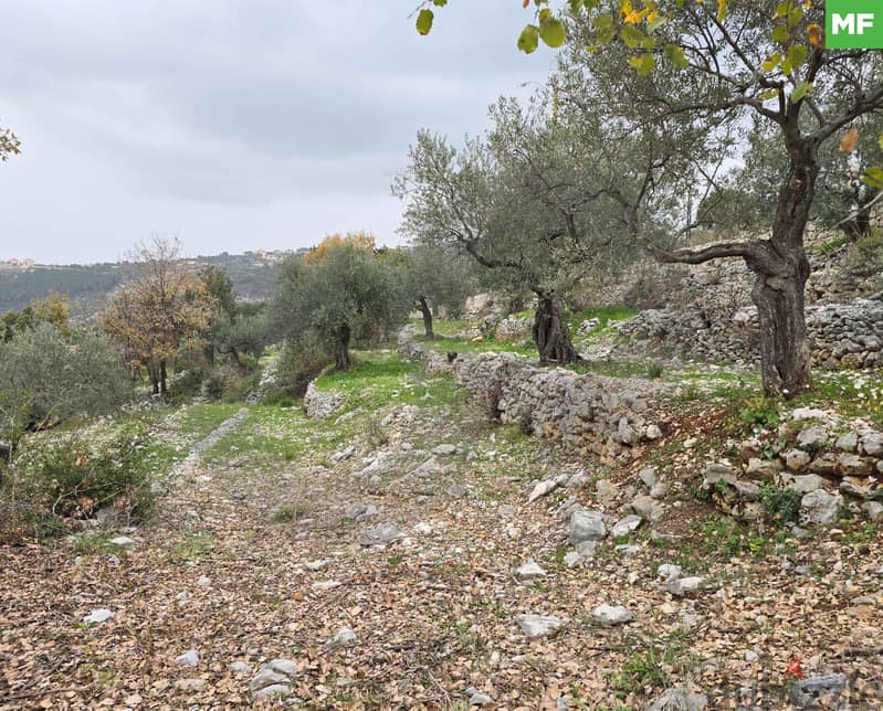 Own this wonderful land in Chabtin area of ​​Batroun ! REF#MF118779 ! 0