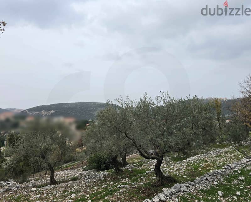 Own this wonderful land in Chabtin area of ​​Batroun ! REF#MF118779 ! 2