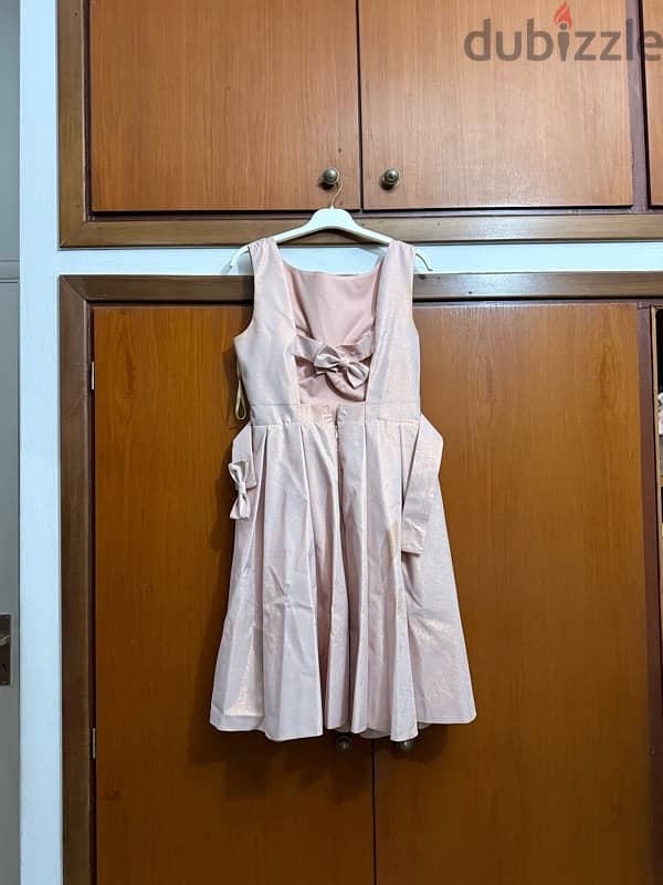 rose dress 1