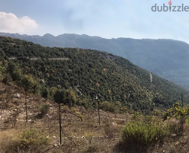 Land for sale in Ghineh 1