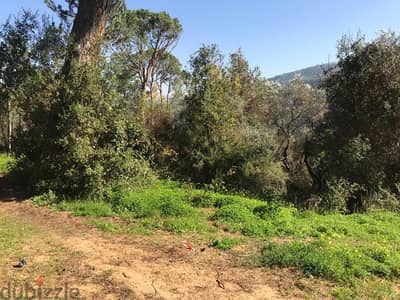 Land for Rent in Beit Mery – Perfect for Leisure & Hospitality Project