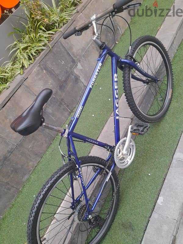 cety bike 13