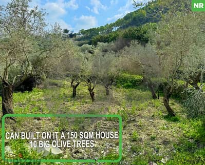 Unique Land for Sale – Bejdarfel, Batroun/بجدرفل, بترون REF#NR118812