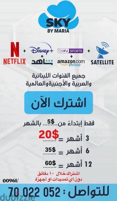 satelite & Netflix