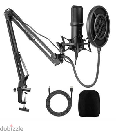 microphone for broadcasts