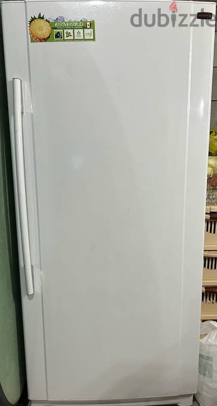 Concord Refeigerator Freezer for sale 1