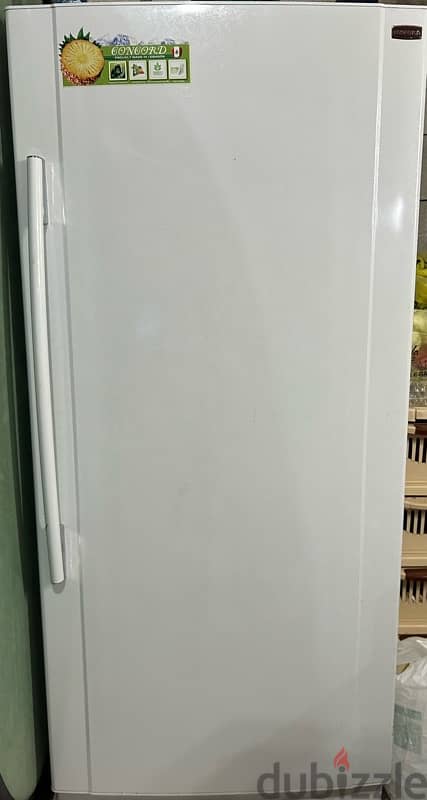 Concord Refeigerator Freezer for sale 2