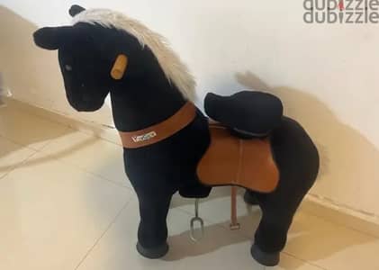 PONY FOR KIDS