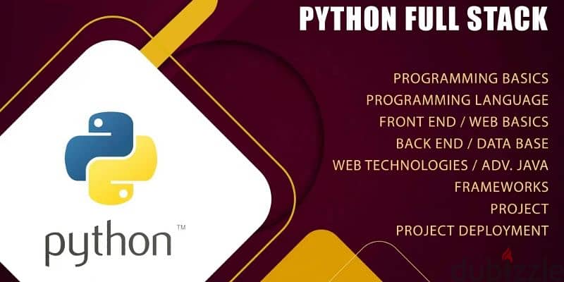 Learn to become Python Full Stack Developer!Project help from A to Z! 1