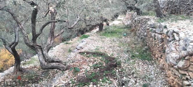 RWB132DL - Land for sale in Chabtine Batroun