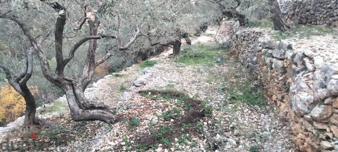 RWB132DL - Land for sale in Chabtine Batroun 0