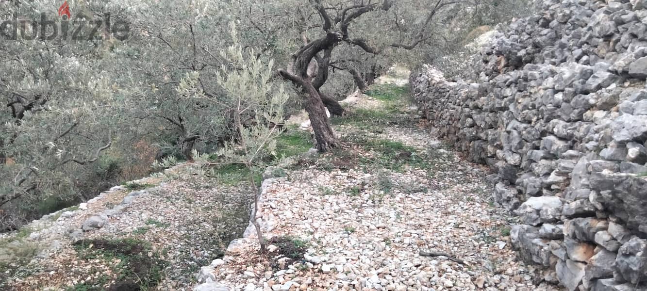 RWB132DL - Land for sale in Chabtine Batroun 1