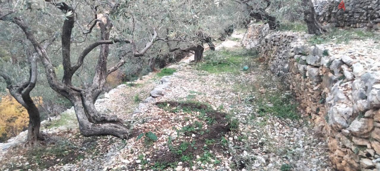 RWB132DL - Land for sale in Chabtine Batroun 4