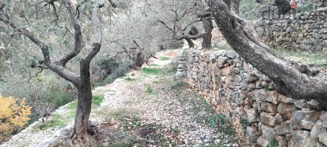 RWB132DL - Land for sale in Chabtine Batroun 5