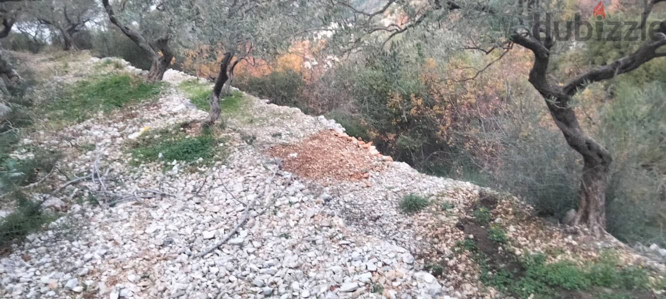 RWB132DL - Land for sale in Chabtine Batroun 10