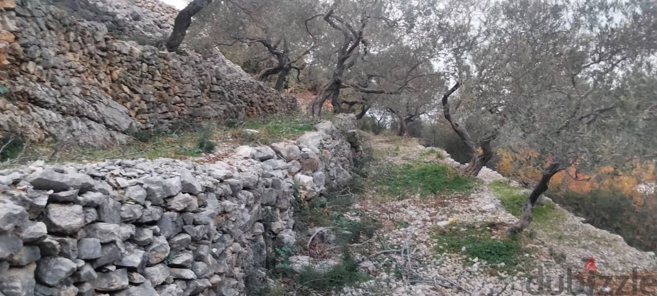 RWB132DL - Land for sale in Chabtine Batroun 12