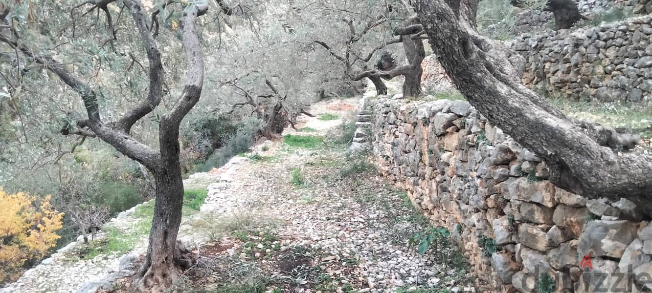 RWB132DL - Land for sale in Chabtine Batroun 13