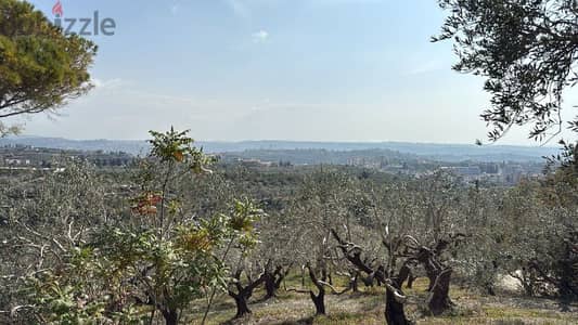 1500 Sqm | Land in Jezzine District