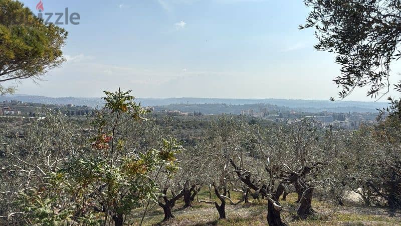 1500 Sqm | Land in Jezzine District 0