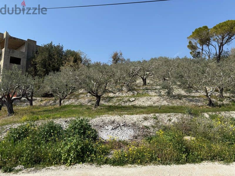 1500 Sqm | Land in Jezzine District 1