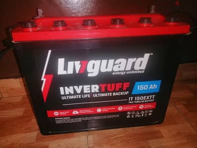 LIVGUARD 150Ah