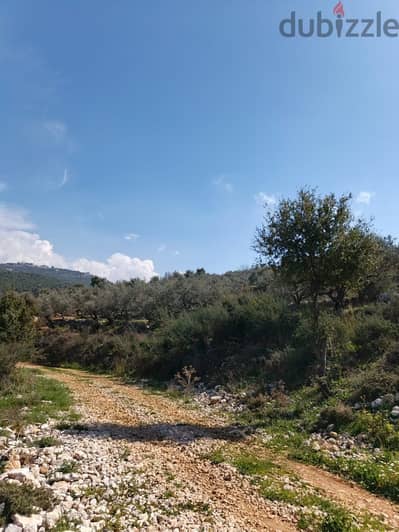 Land for sale in Chabtine Batroun أرض للبيع في شبطين البترون