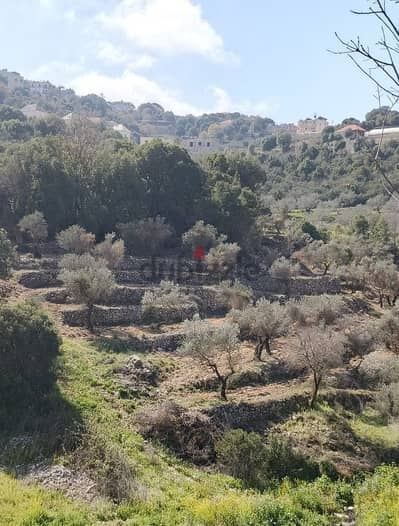 Land for sale in Chabtine Batroun أرض للبيع في شبطين البترون