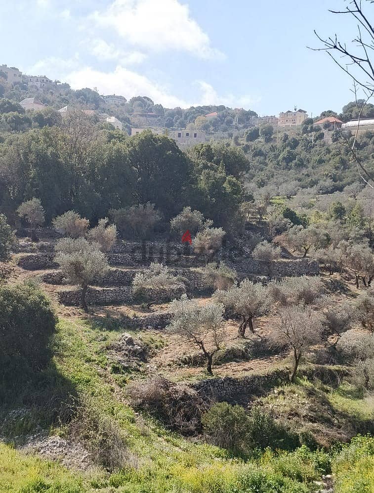 Land for sale in Chabtine Batroun أرض للبيع في شبطين البترون 0