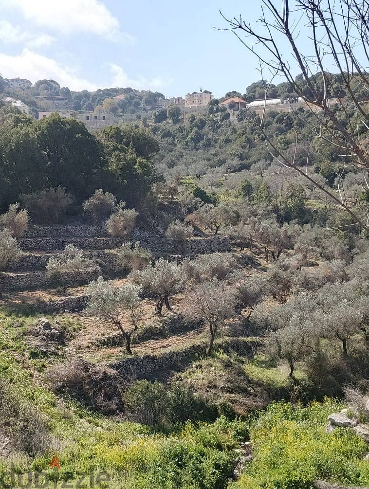 Land for sale in Chabtine Batroun أرض للبيع في شبطين البترون 1