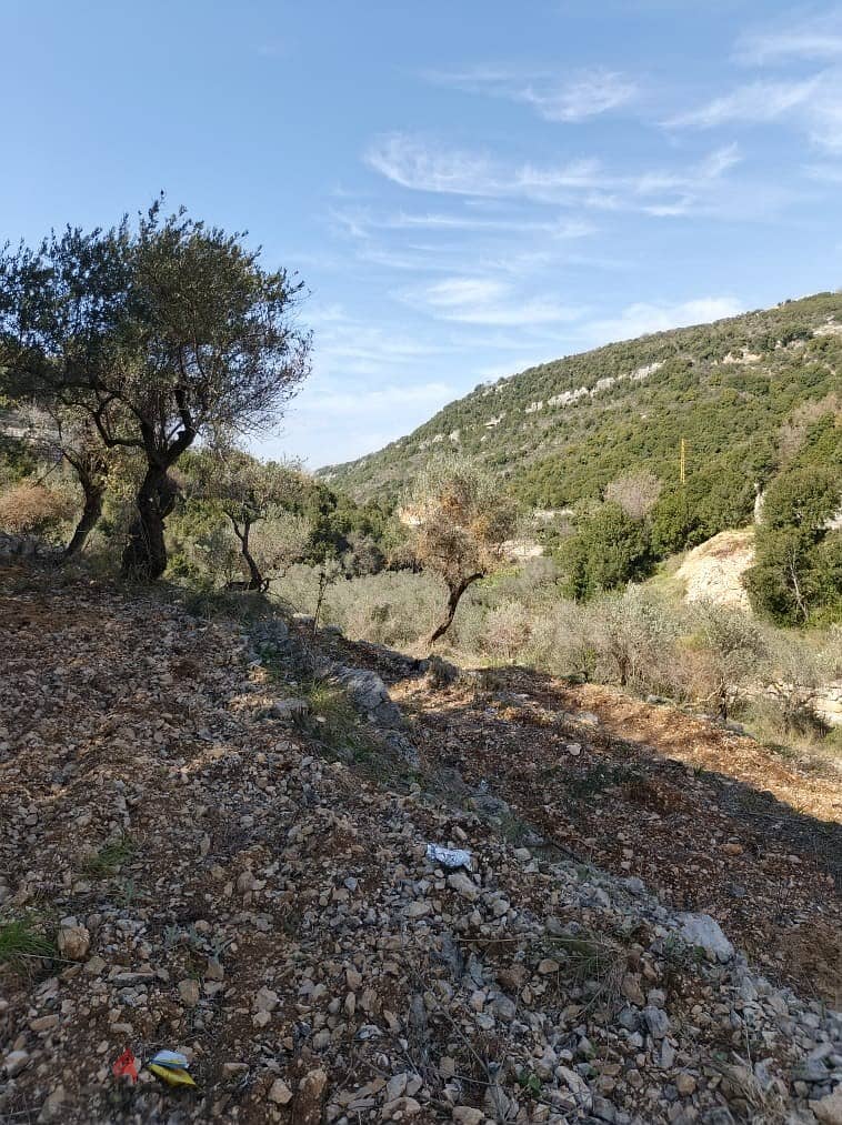 Land for sale in Chabtine Batroun أرض للبيع في شبطين البترون 2