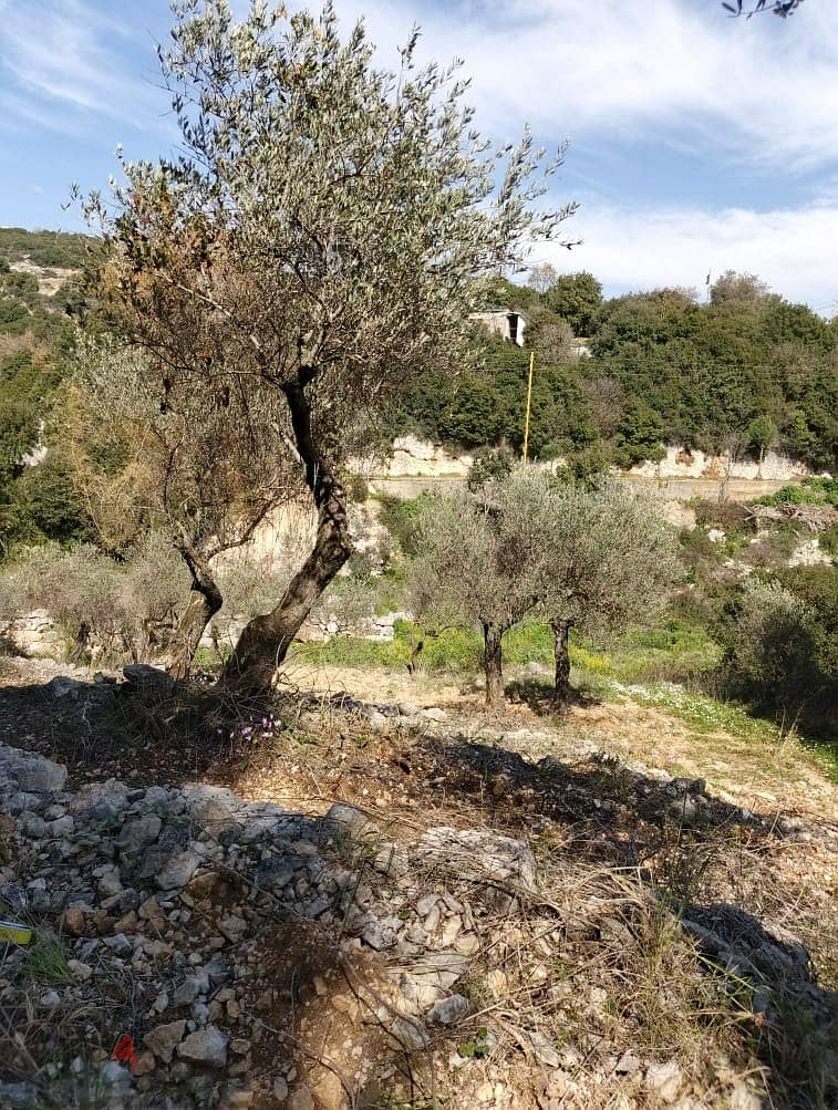 Land for sale in Chabtine Batroun أرض للبيع في شبطين البترون 3