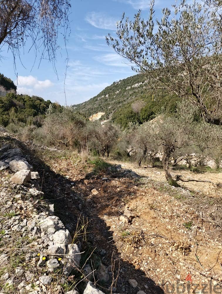 Land for sale in Chabtine Batroun أرض للبيع في شبطين البترون 4