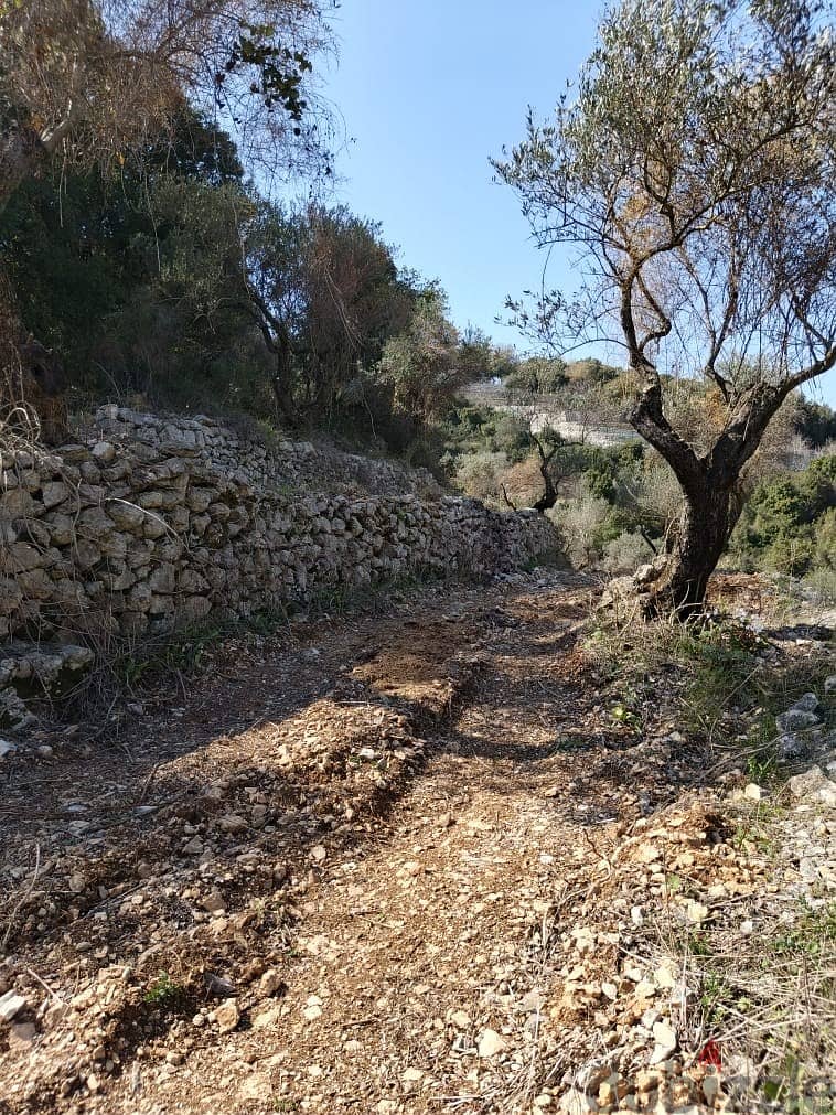 Land for sale in Chabtine Batroun أرض للبيع في شبطين البترون 5