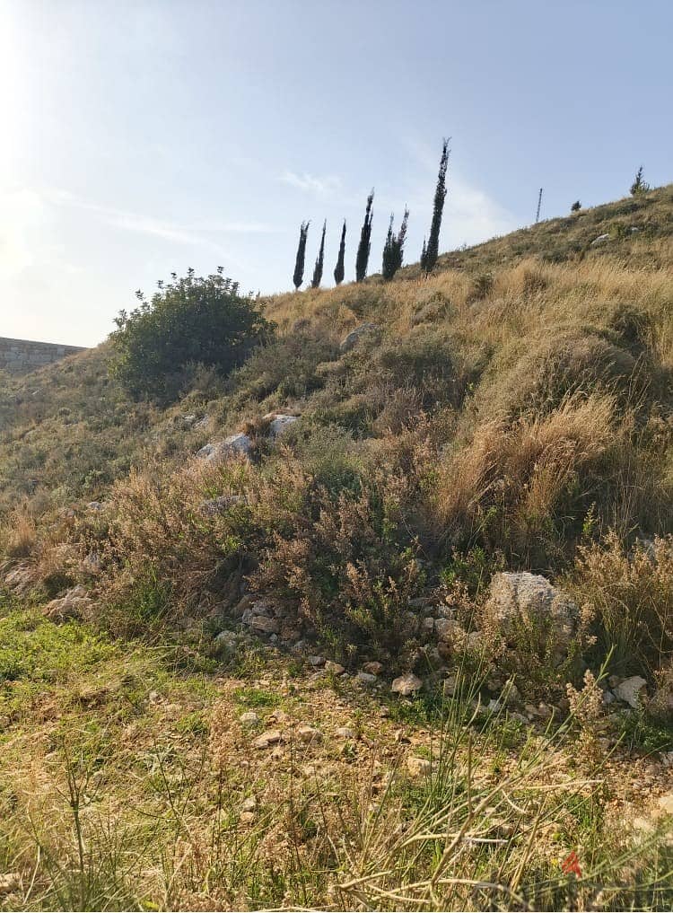 Land for sale in Eddeh jbeil ارض للبيع  في اده جبيل 2