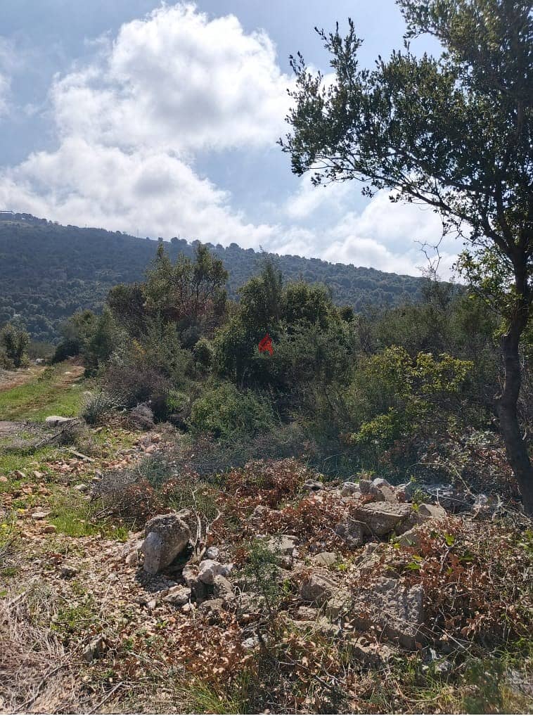 Land for sale in Chabtine Batroun أرض للبيع في شبطين البترون 3