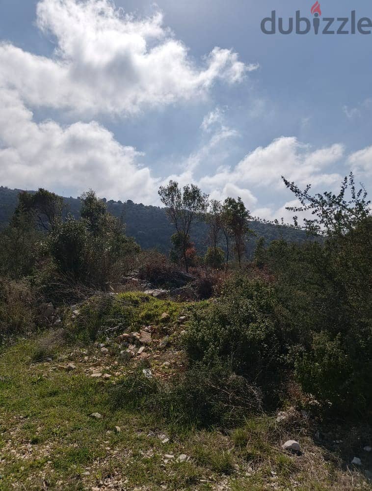 Land for sale in Chabtine Batroun أرض للبيع في شبطين البترون 4