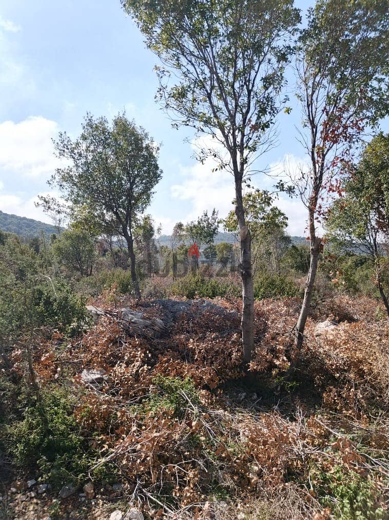 Land for sale in Chabtine Batroun أرض للبيع في شبطين البترون 5