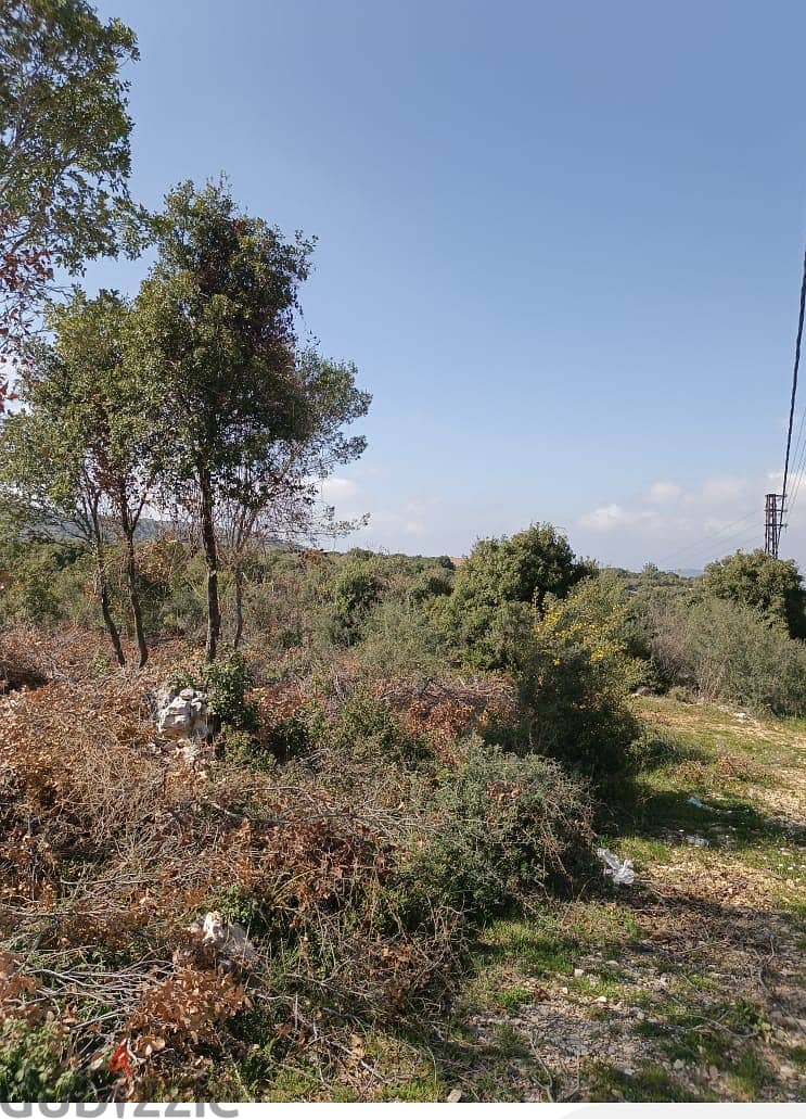 Land for sale in Chabtine Batroun أرض للبيع في شبطين البترون 6