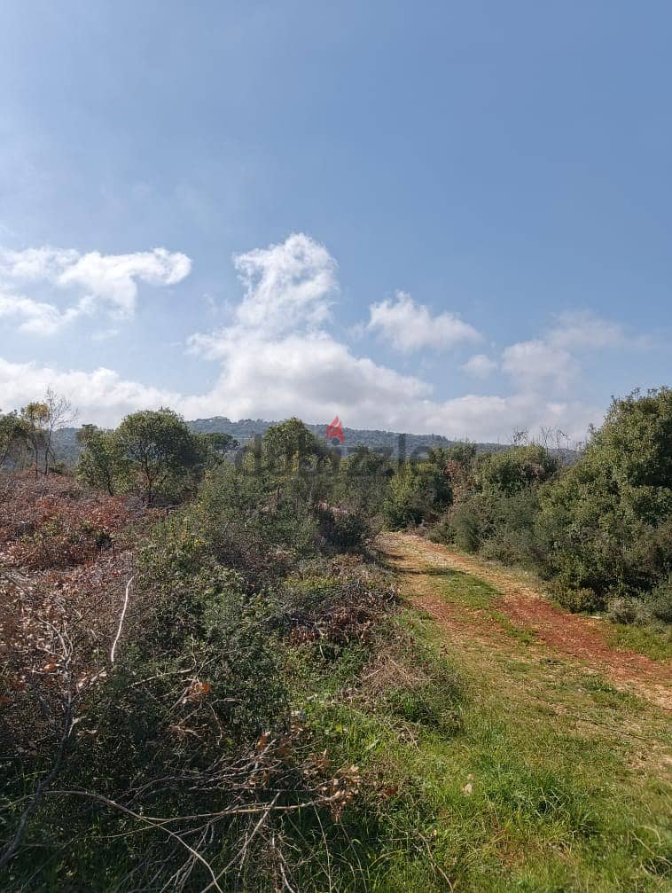 Land for sale in Chabtine Batroun أرض للبيع في شبطين البترون 7