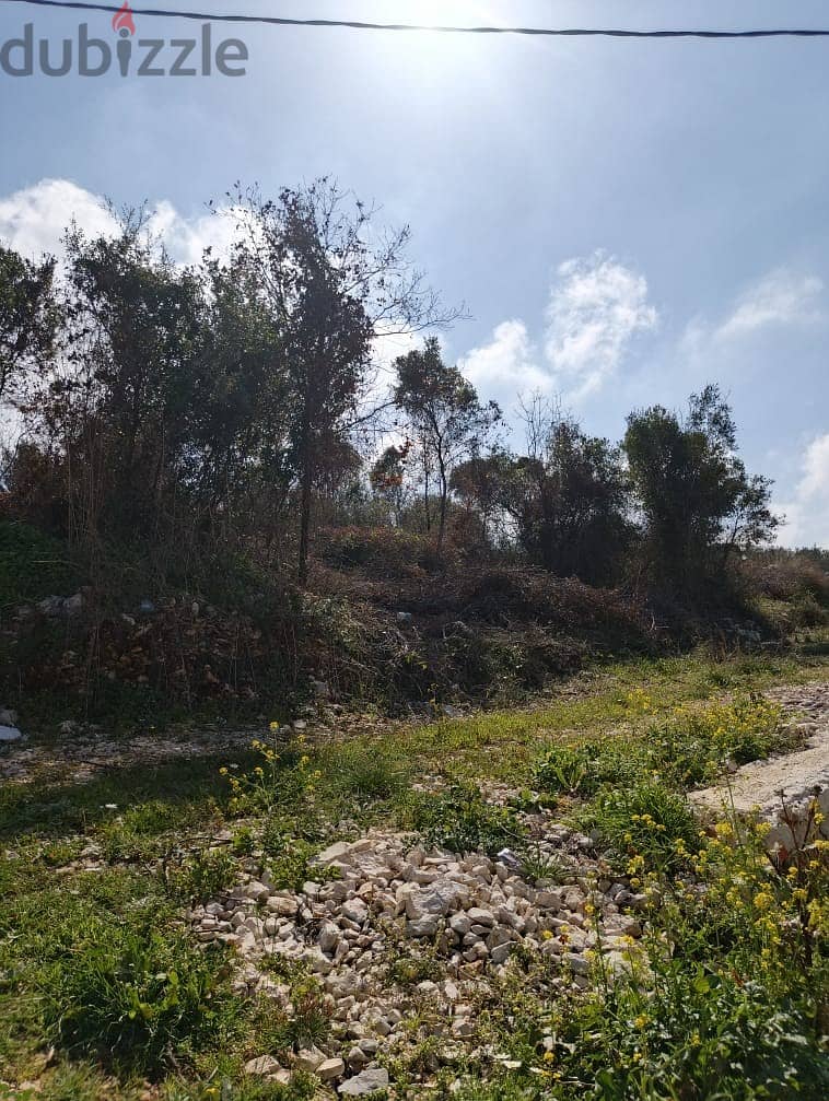 Land for sale in Chabtine Batroun أرض للبيع في شبطين البترون 13