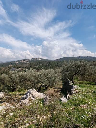 Land for sale in Chabtine batroun ارض للبيع في شبطين البترون