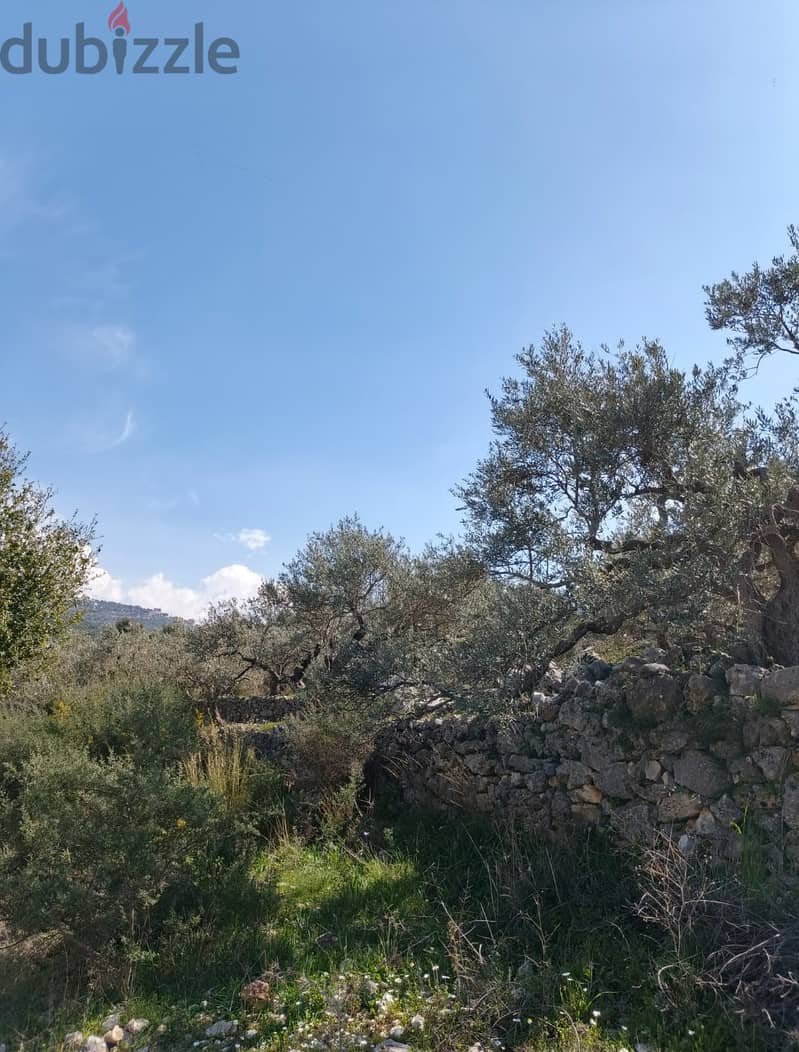 Land for sale in Chabtine batroun ارض للبيع في شبطين البترون 5