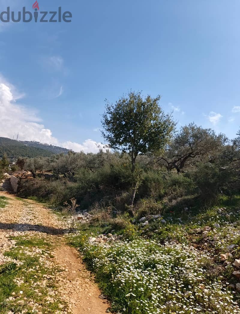 Land for sale in Chabtine batroun ارض للبيع في شبطين البترون 7